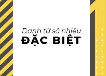Tổng hợp danh từ số nhiều bất quy tắc