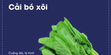 Rau cải Tiếng Anh là gì